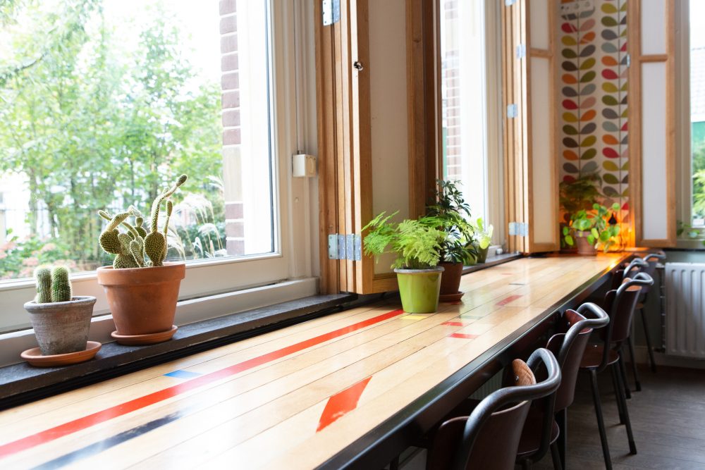 Lange tafel aan het raam in de foyer met planten en cactussen